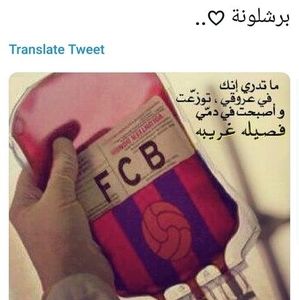 Meet your Posher, Yousif